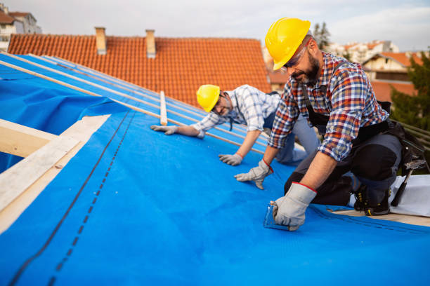 Roof Gutter Cleaning in Endicott, NY