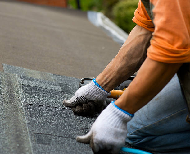 Best Metal Roofing Contractor  in Endicott, NY